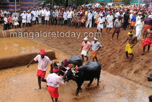 Baradi Beedu Kambala